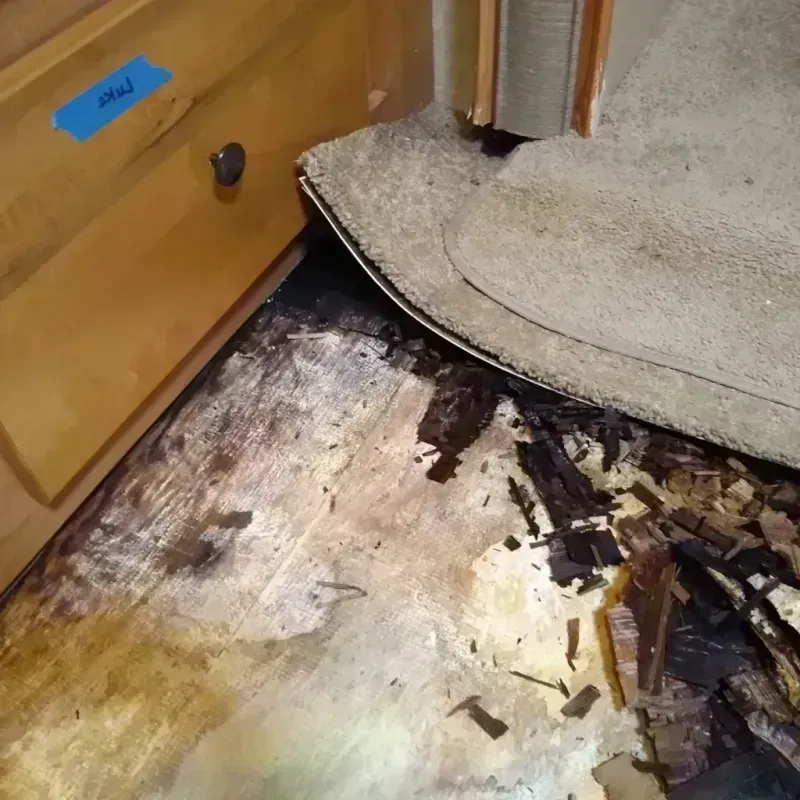 Best Wood Floor Water Damage Service in Groveville, NJ